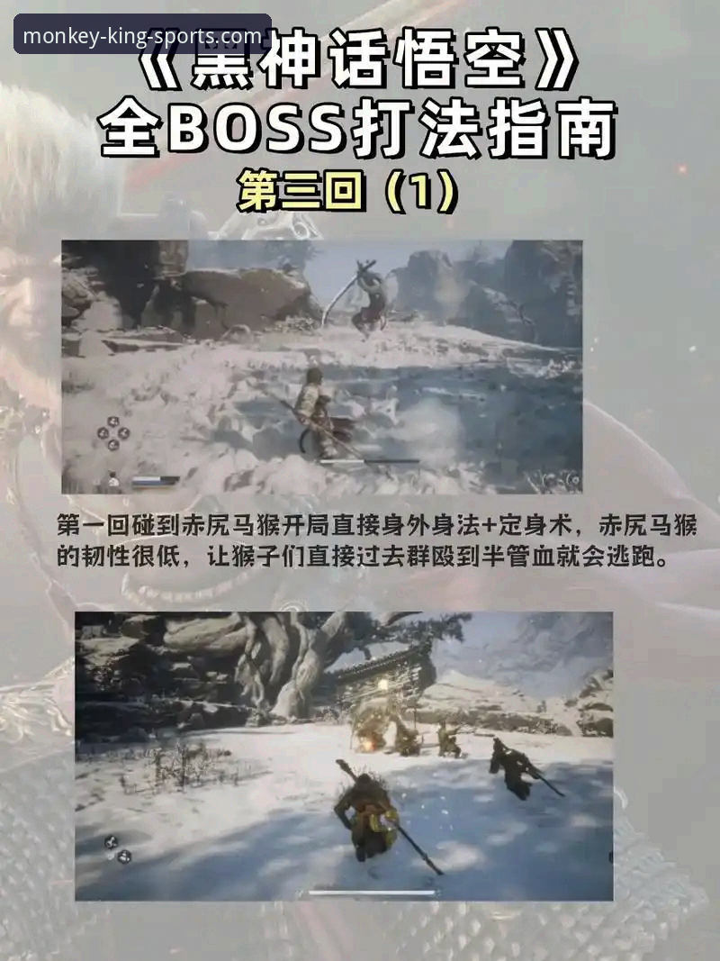 悟空体育充值方法 悟空体育平台充值方法完整指南:从入门到精通